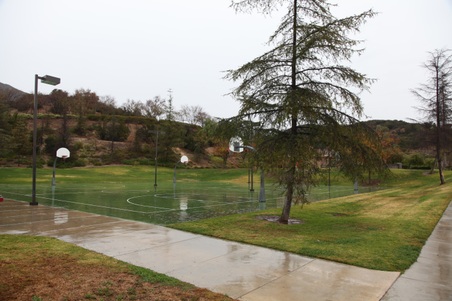 Enlarge photo 30
