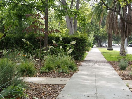 Enlarge photo 7