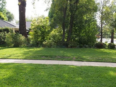 Enlarge photo 11