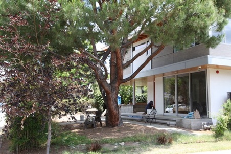 Enlarge photo 6