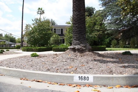 1680 E Mountain St.