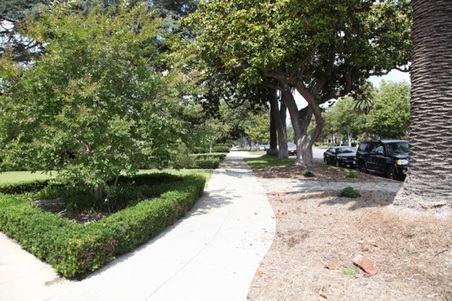 Enlarge photo 5