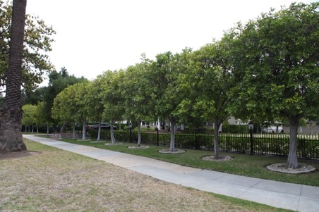 Enlarge photo 8