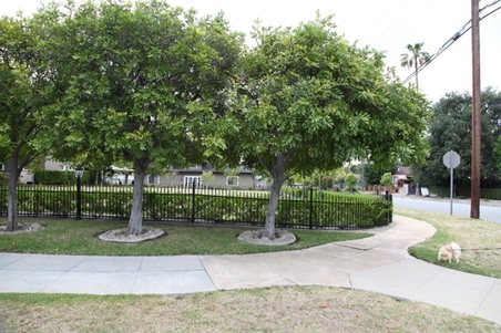 Enlarge photo 9