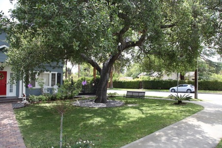 Enlarge photo 4