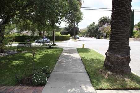 Enlarge photo 6