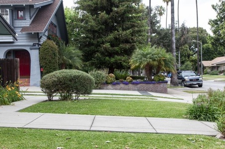 Enlarge photo 6