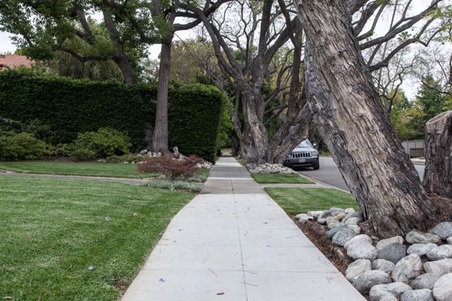 Enlarge photo 5
