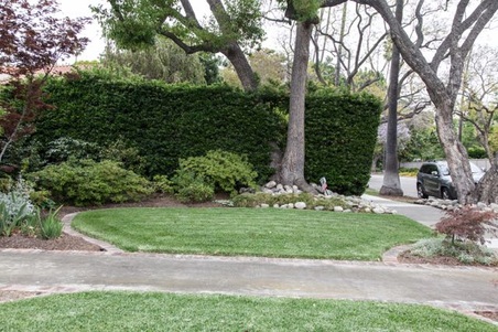 Enlarge photo 9