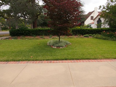 Enlarge photo 6