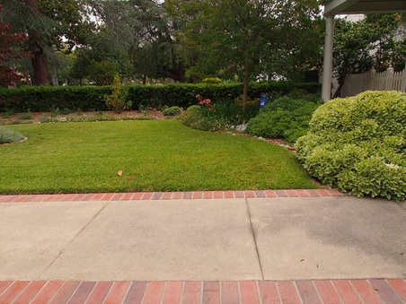 Enlarge photo 7