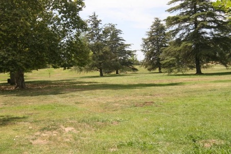 Enlarge photo 11