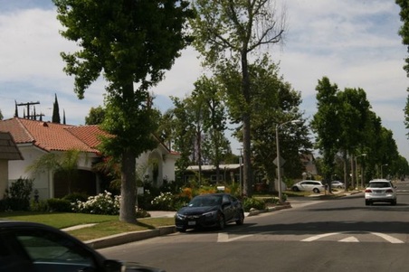 Enlarge photo 17