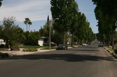 Enlarge photo 21