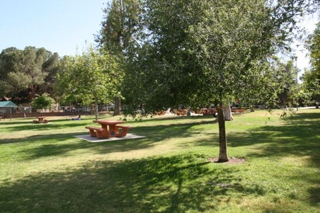 Enlarge photo 26