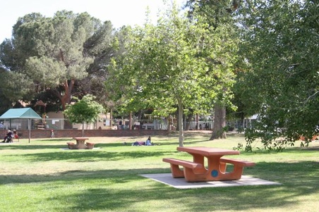 Enlarge photo 28
