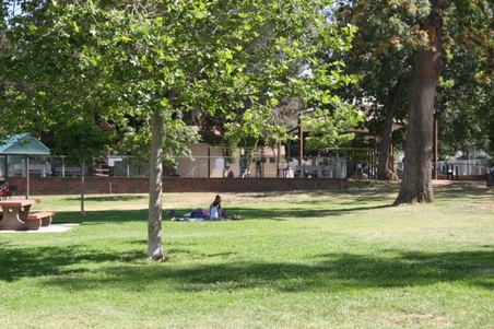 Enlarge photo 31
