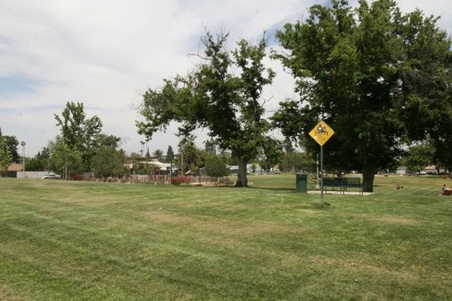 Enlarge photo 35