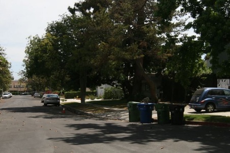 Enlarge photo 41