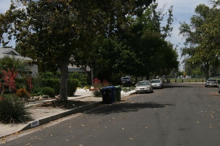 Enlarge photo 53