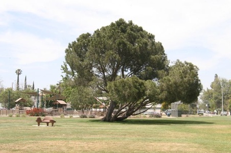 Enlarge photo 57