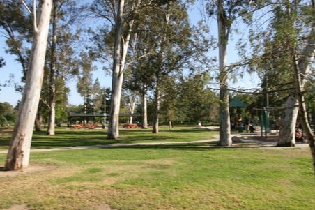 Enlarge photo 5