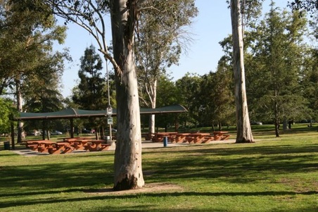 Enlarge photo 10