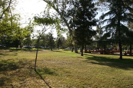 Enlarge photo 11