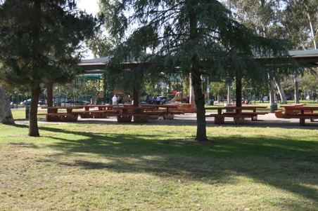 Enlarge photo 13