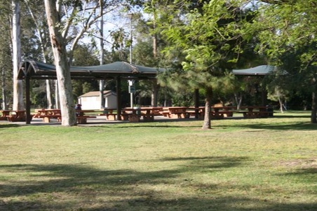 Enlarge photo 15