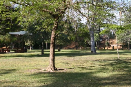 Enlarge photo 16