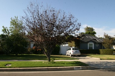 Enlarge photo 29