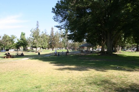 Enlarge photo 12