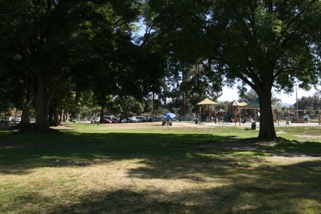 Enlarge photo 13