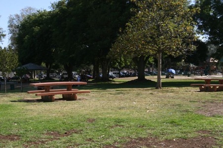 Enlarge photo 19