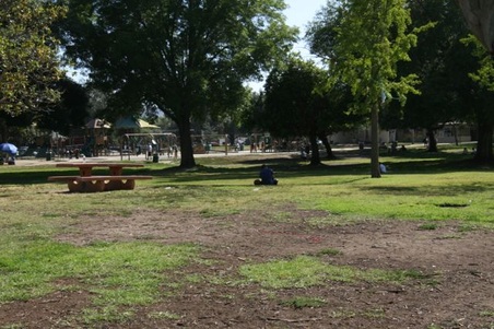 Enlarge photo 20