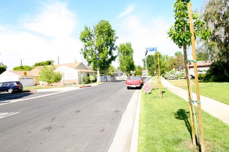Enlarge photo 29