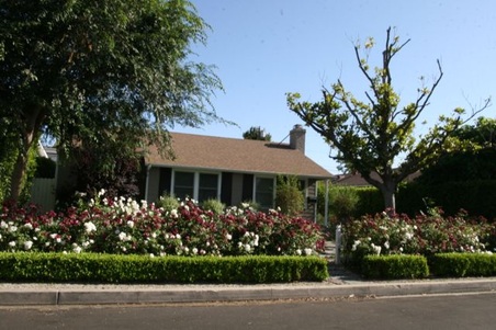 Enlarge photo 45