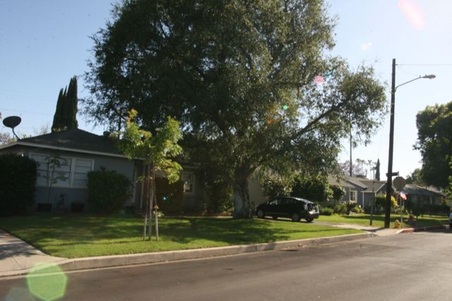 Enlarge photo 48