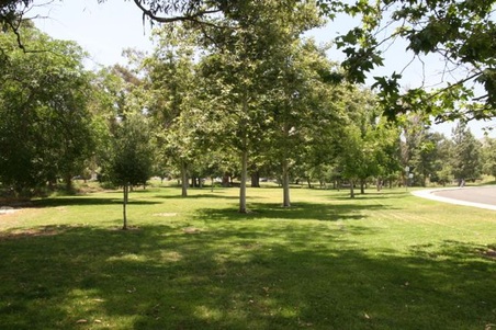 Enlarge photo 17