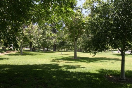 Enlarge photo 18