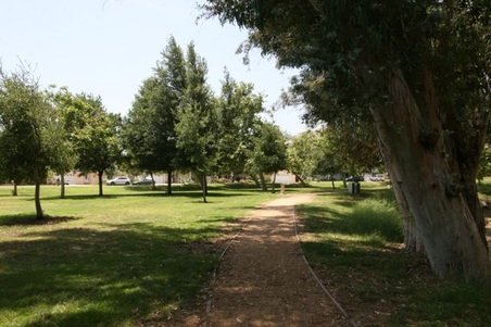 Enlarge photo 22