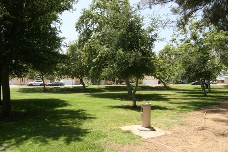 Enlarge photo 23