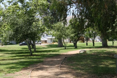 Enlarge photo 24
