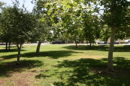 Enlarge photo 25