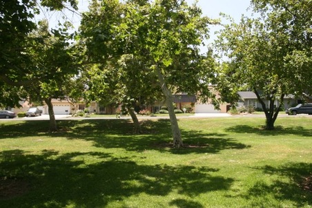 Enlarge photo 27