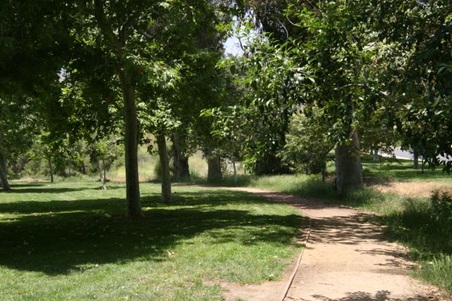 Enlarge photo 29