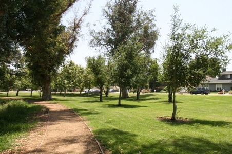 Enlarge photo 30