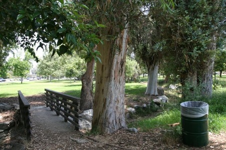 Enlarge photo 32