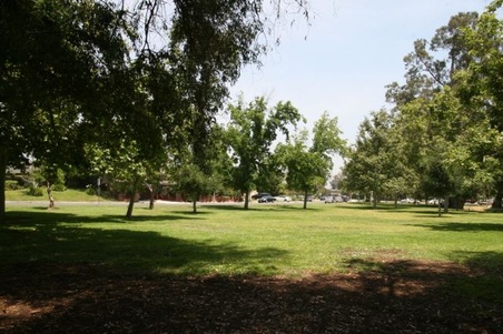 Enlarge photo 33